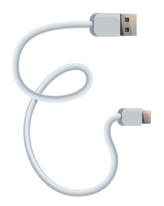 Charging chord